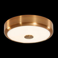 Потолочный светодиодный светильник Citilux Фостер-1 CL706122