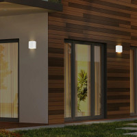 Настенный уличный светильник Duwi Nuovo led 24278 9