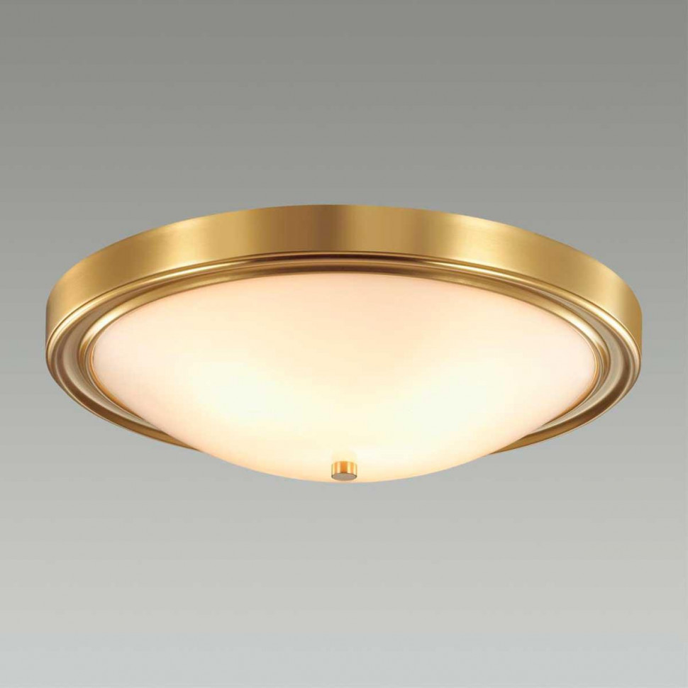 Настенно-потолочный светильник Lumion Vintage 5259/4C