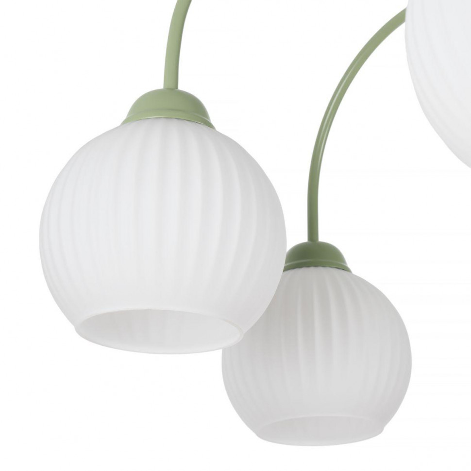 Люстра на штанге Myfar Flora MR2271-6C
