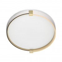 Настенно-потолочный светильник Sonex Olidi white 7646/CL