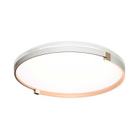 Настенно-потолочный светильник Sonex Olidi white 7646/EL