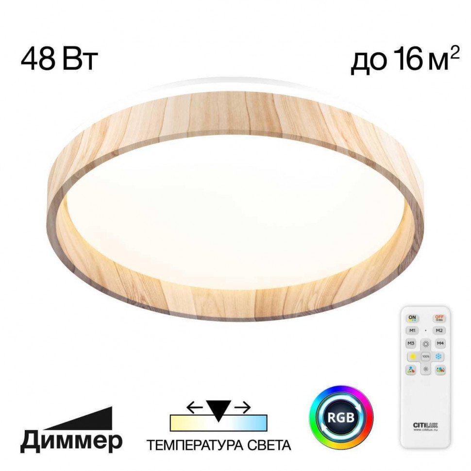 Потолочный светильник Citilux Enzo CL753352G