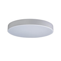 Потолочный светильник Loft IT AXEL 10002/24 White