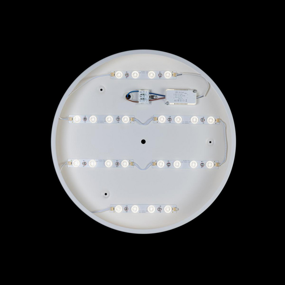 Потолочный светильник Loft IT AXEL 10002/24 White