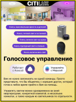 Потолочная люстра Citilux Диамант Смарт CL713A30G