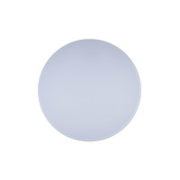Потолочный светильник Loft IT AXEL 10002/48 White