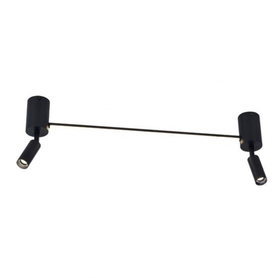 Спот Arte Lamp A2219PL-2BK