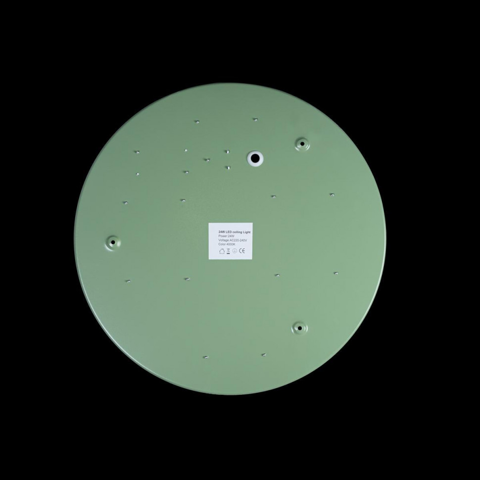 Потолочный светильник Loft IT AXEL 10003/24 Green
