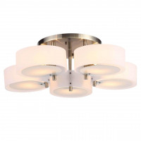 Накладная люстра ST-Luce SL483.352.05