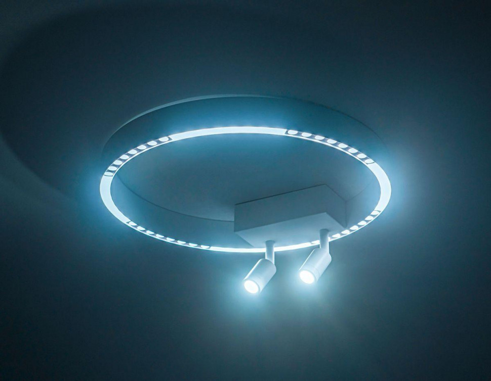 Потолочный светильник Ambrella Light Comfort FL5805