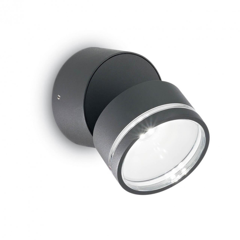Уличный настенный светодиодный светильник Ideal Lux Omega Ap Round Antracite 4000K 172552