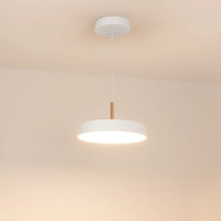 Подвесной светильник Arlight SP-ELEGANT-R300-17W Warm3000 (WH, 120 deg, 230V) 033914(1)