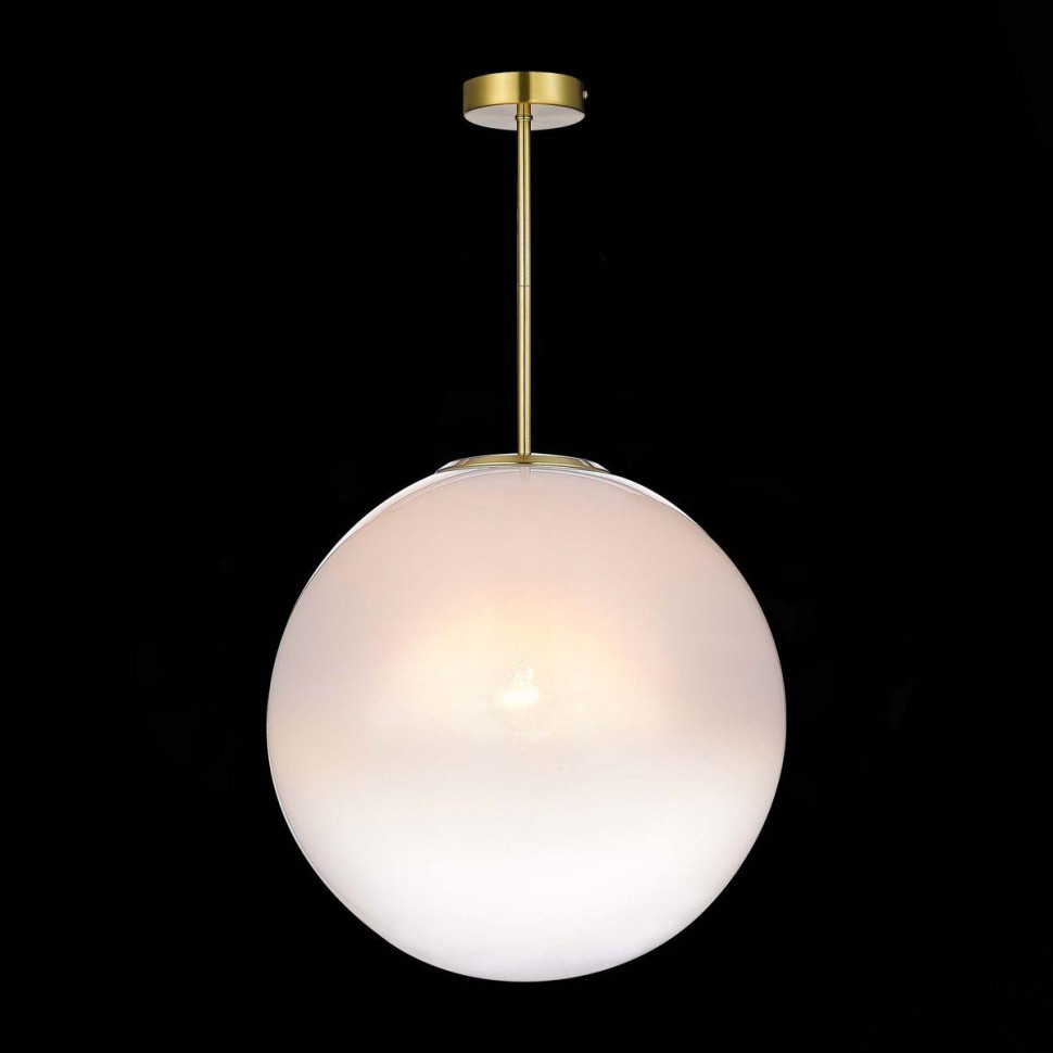 Потолочный светильник ST Luce Cassius SL1190.222.01
