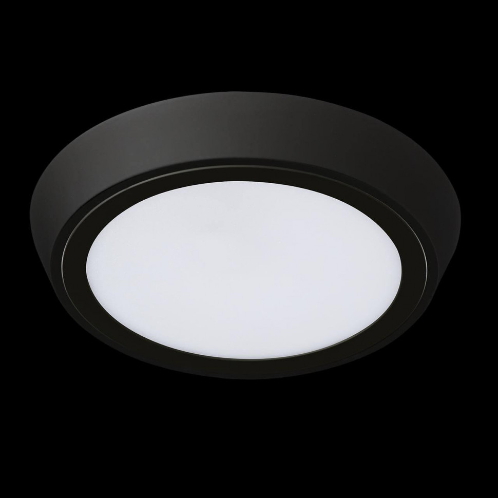 Уличный светильник Lightstar 216972