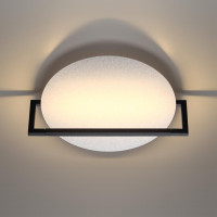 Настенно-потолочный светильник Odeon Light Lunar 7015/15WL