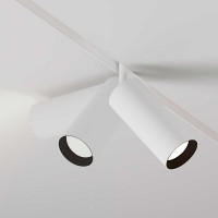 Трековый магнитный светильник Maytoni Focus LED TR032-2-20W4K-S-W