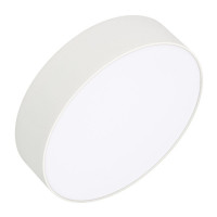 Накладной светильник Arlight IM-RONDO-EMERGENCY-3H-R210-20W Warm3000 (WH, 120 deg, 230V) 039652