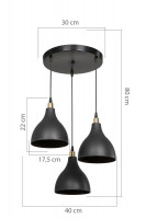 Подвесной светильник Toplight Marjory TL1615H-03BK