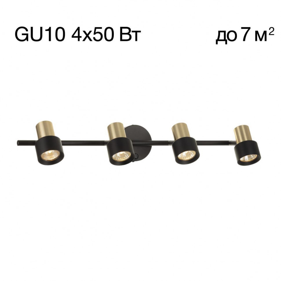 Спот Citilux Sat CL505641