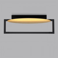 Настенно-потолочный светильник Odeon Light Lunar 7016/15WL