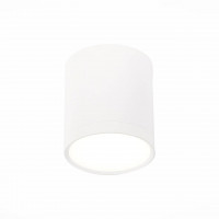 Потолочный светильник ST Luce Rene ST113.542.05