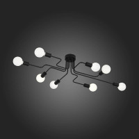 Потолочная люстра ST Luce Ano SL419.442.08